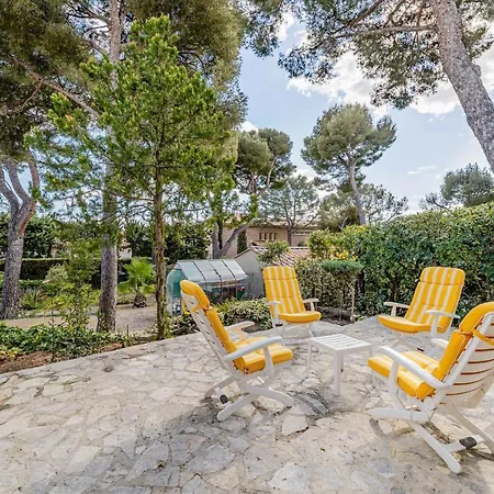 L'escapade Par Dodo A * 카시스